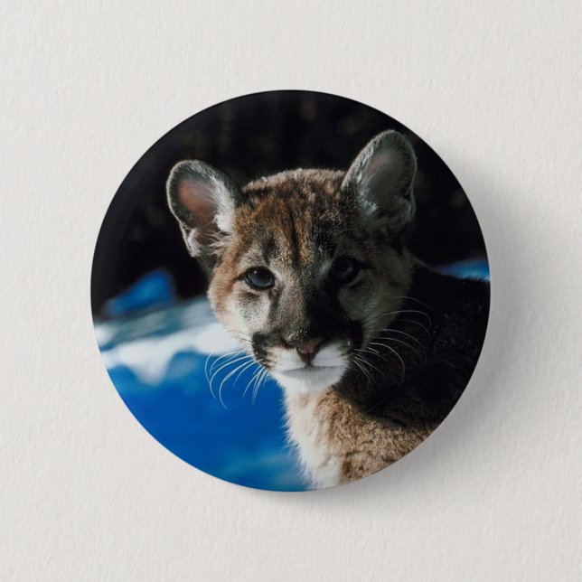 Cougar Cub 6 Cm Round Badge (Front)