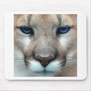 Cougar cub mouse mat