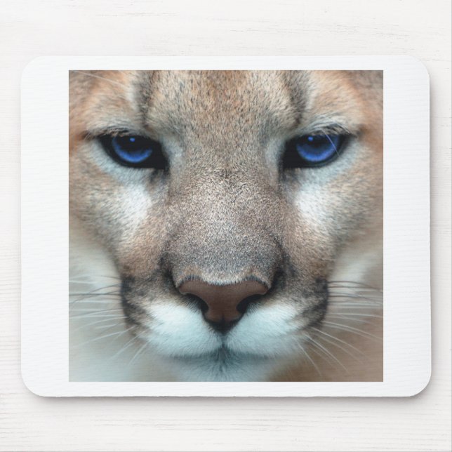 Cougar cub mouse mat (Front)