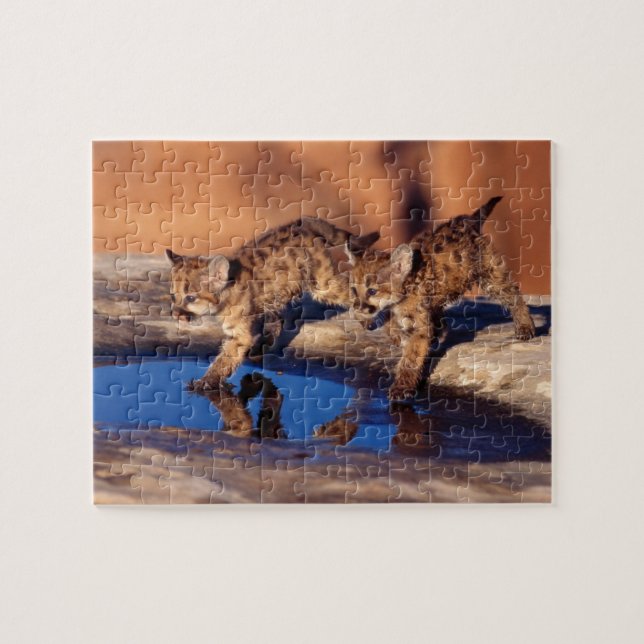 Cougar Cubs Puzzle (Horizontal)