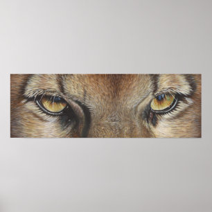 Cougar Eyes #2 Poster