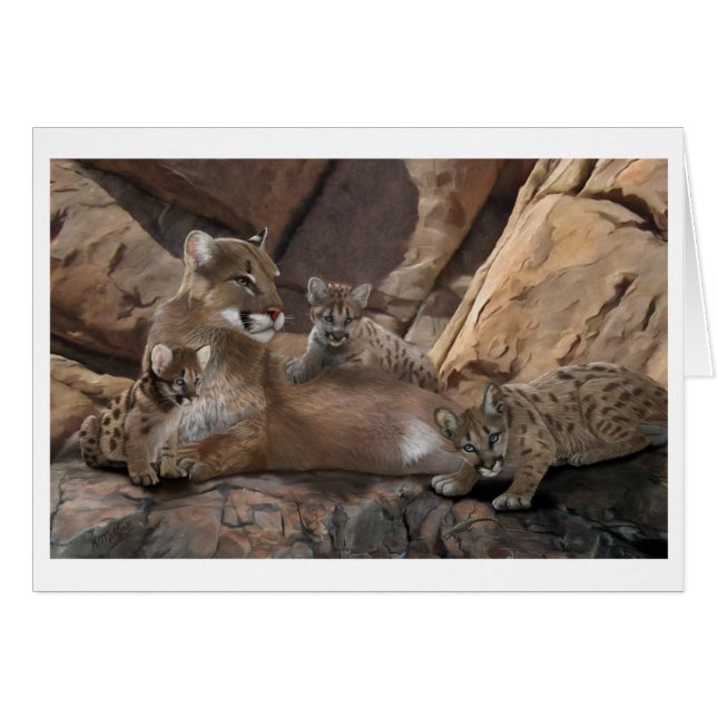 Cougar Family (Front Horizontal)