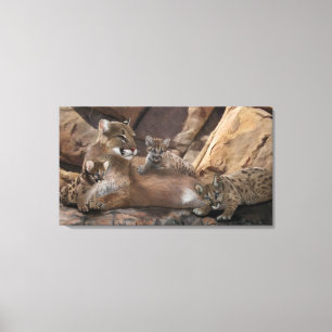 Cougar Family Canvas Print