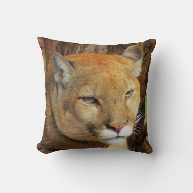 Cougar / Florida Panther / Mountain Lion - Pillow (Front)