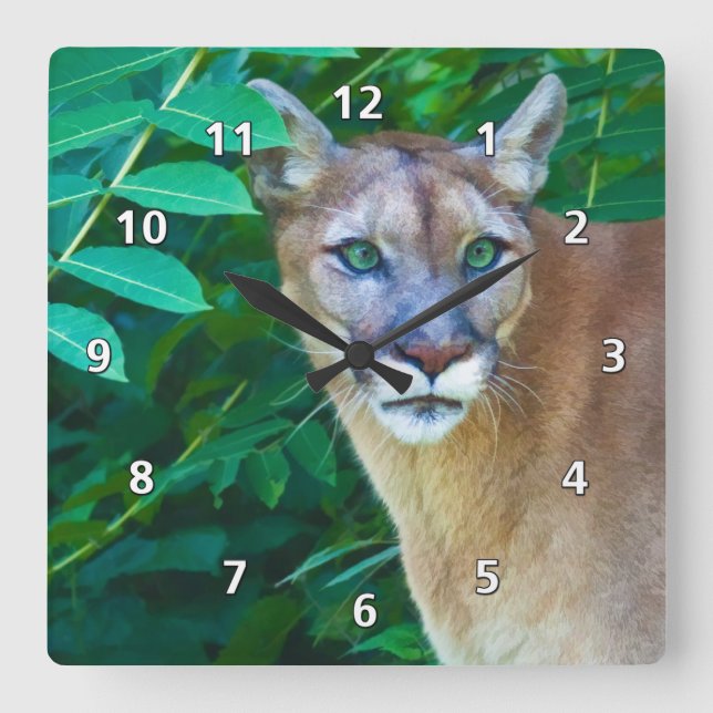 Cougar in the Jungle Clock (Front)