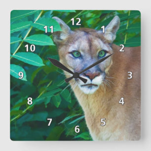 Cougar in the Jungle Clock