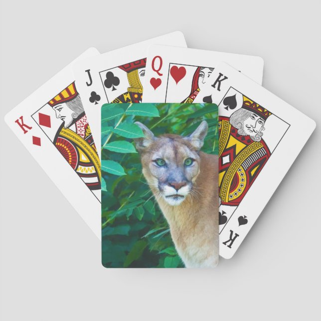 Cougar in the Jungle Playing Cards (Back)