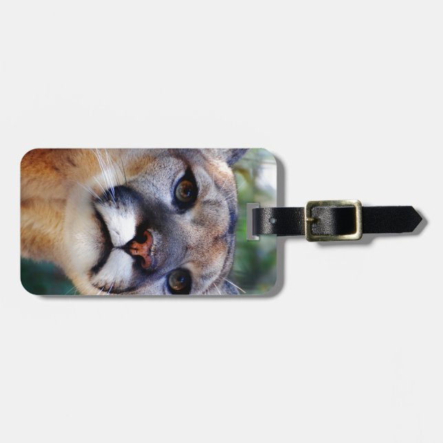 Cougar Luggage Tag (Front Horizontal)