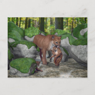 Cougar Mother Carrying Cub Postcard