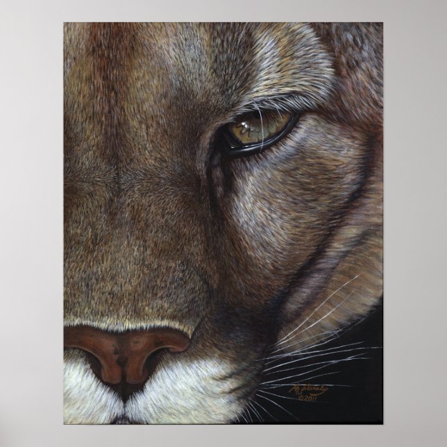Cougar Mountain Lion Face Poster (Front)