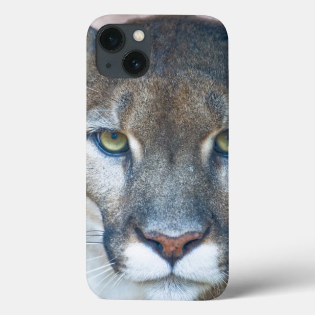 Cougar, mountain lion, Florida panther, Puma 2 Case-Mate iPhone Case (Back)