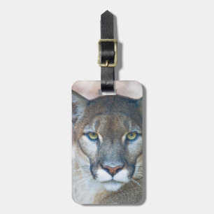 Cougar, mountain lion, Florida panther, Puma 2 Luggage Tag