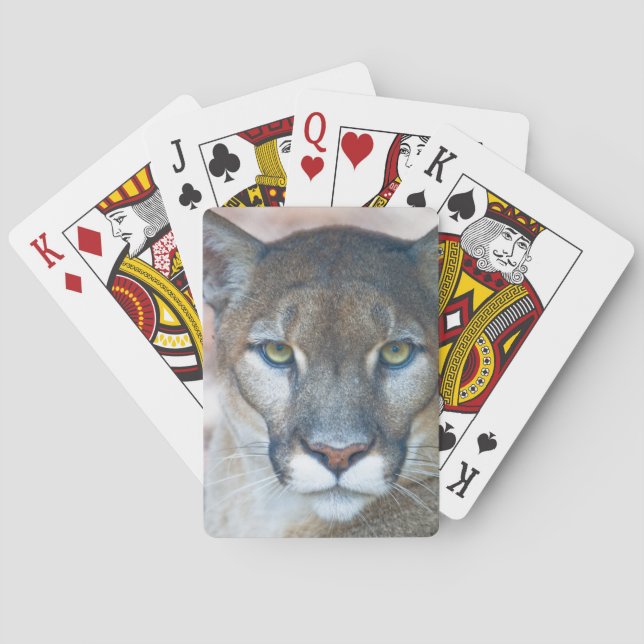 Cougar, mountain lion, Florida panther, Puma 2 Playing Cards (Back)