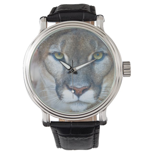 Cougar, mountain lion, Florida panther, Puma 2 Watch (Front)