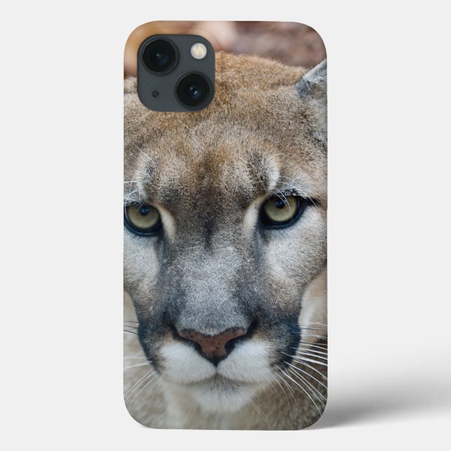 Cougar, mountain lion, Florida panther, Puma Case-Mate iPhone Case (Back)