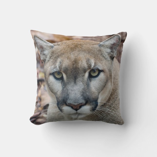 Cougar, mountain lion, Florida panther, Puma Cushion (Front)