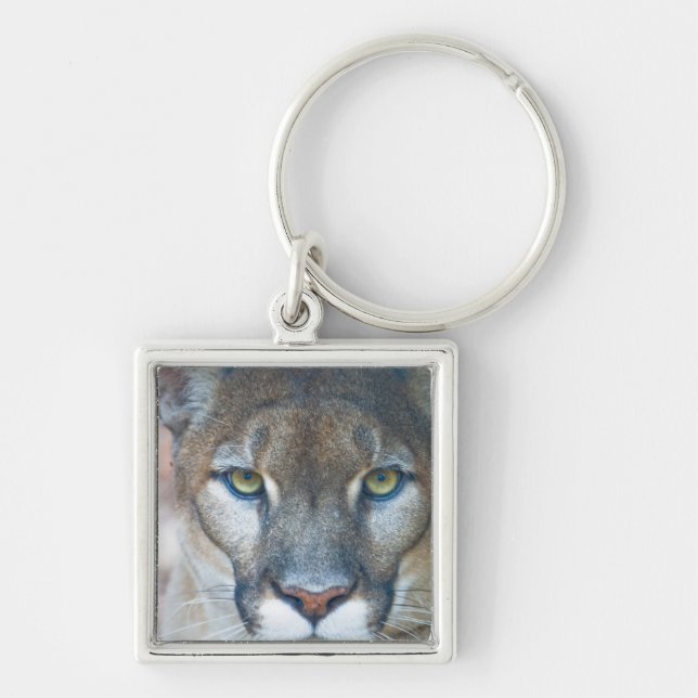Cougar, mountain lion, Florida panther, Puma Key Ring (Front)