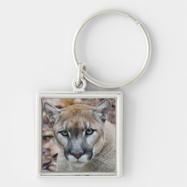 Cougar, mountain lion, Florida panther, Puma Key Ring (Front)