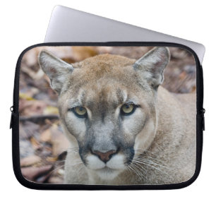 Cougar, mountain lion, Florida panther, Puma Laptop Sleeve