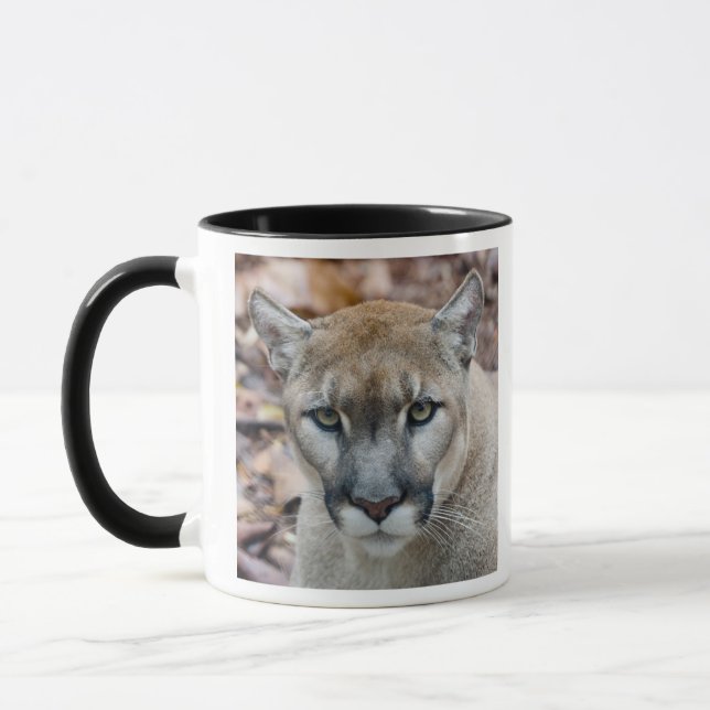 Cougar, mountain lion, Florida panther, Puma Mug (Left)