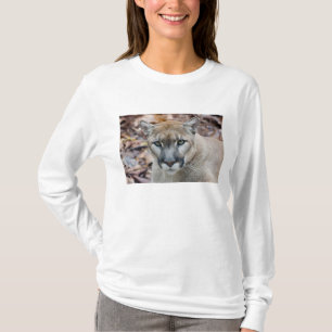 Cougar, mountain lion, Florida panther, Puma T-Shirt
