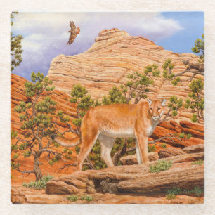 Cougar Mountain Lion In Zion National Park Glass Coaster