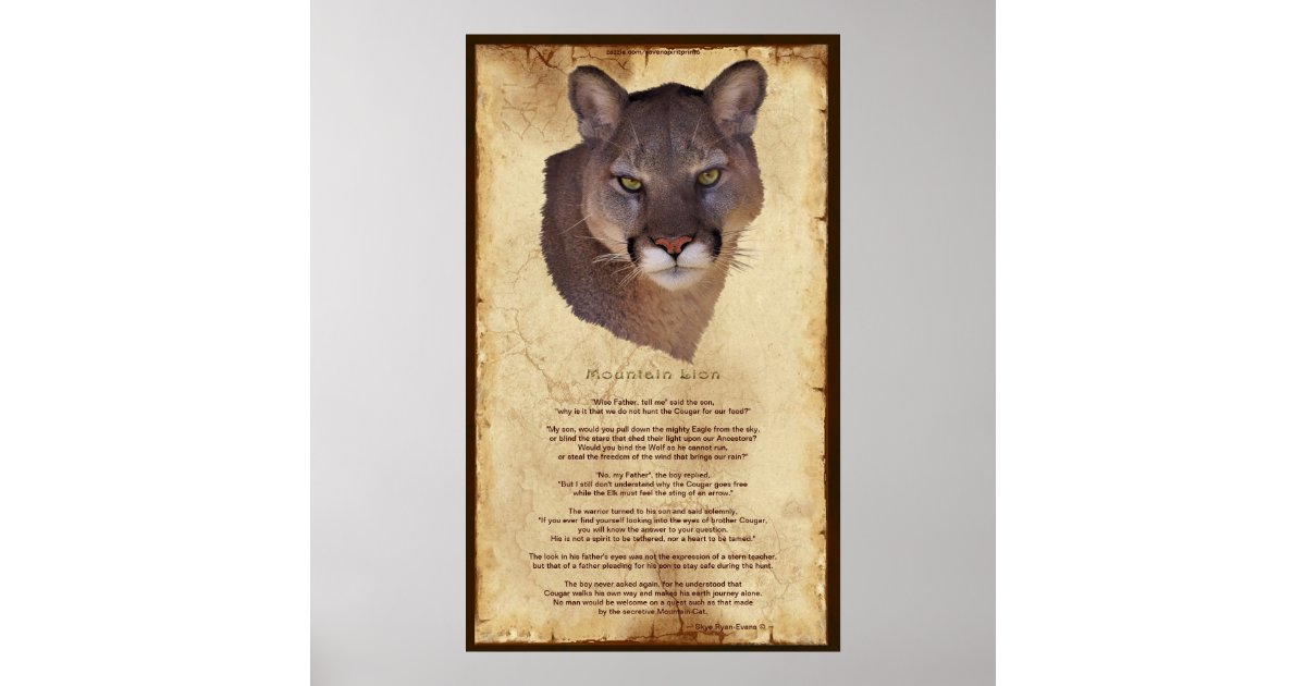 Cougar Mountain Lion Native American Wisdom Poster | Zazzle Cougar Mountain Lion Native American Wisdom Poster | Zazzle