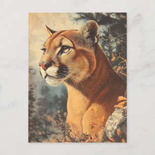 Cougar Mountain Lion Portrait Postkarte Postcard