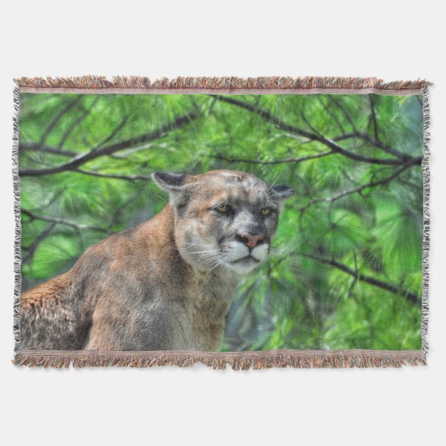 Cougar Mountain Lion & Summer Pines Wildlife Image Throw Blanket (Front)