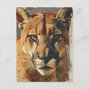 Cougar Mountain lion vintage Postcard