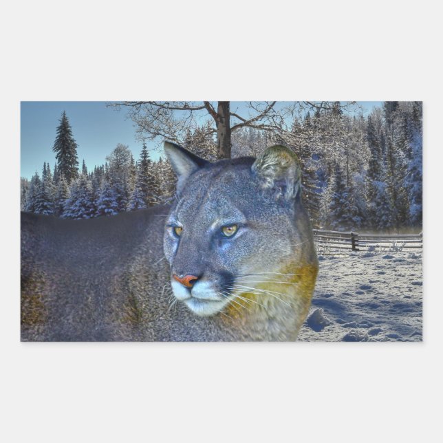 Cougar Mountain Lion & Winter Tree Wildlife Image Rectangular Sticker (Front)