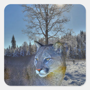 Cougar Mountain Lion & Winter Tree Wildlife Image Square Sticker