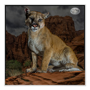 cougar mountain poster