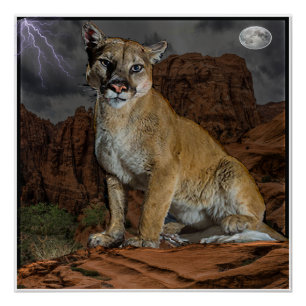 cougar mountain poster