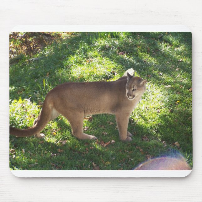 cougar mouse mat (Front)