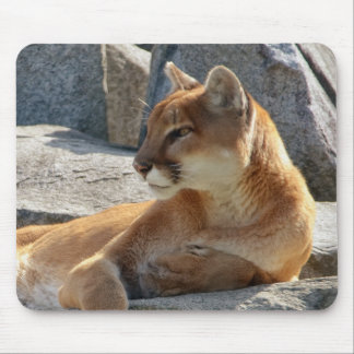 Cougar Mousepad