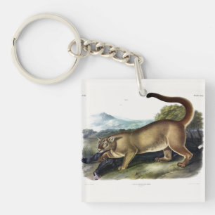 Cougar, or Puma, Panther, Mountain Lion, Catamount Key Ring