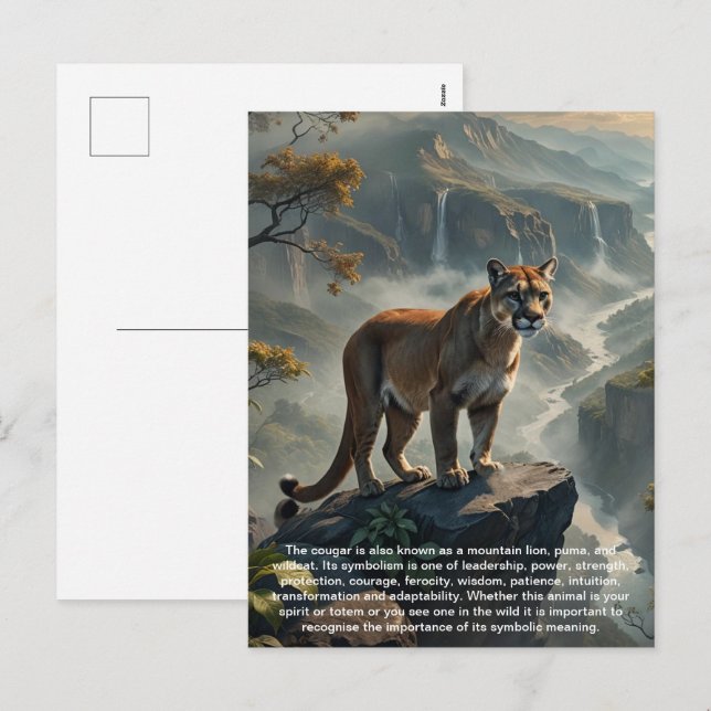 Cougar Postcard (Front/Back)
