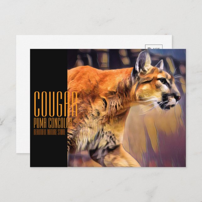 Cougar Postcard (Front/Back)