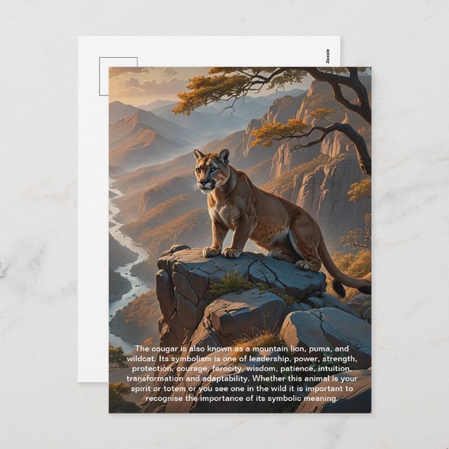 Cougar Postcard (Front/Back)