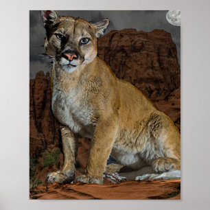 Cougar  poster