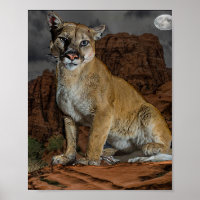 Cougar