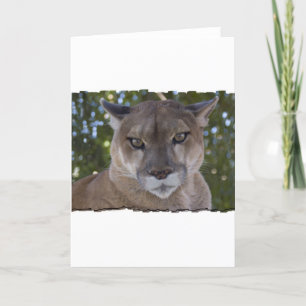 Cougar Pounce Greeting Card