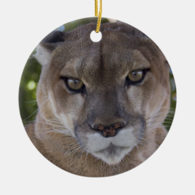 Cougar Pounce Ornament (Front)