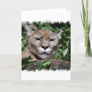 Cougar Predator Greeting Card