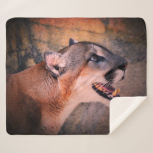 Cougar Profile  Sherpa Blanket