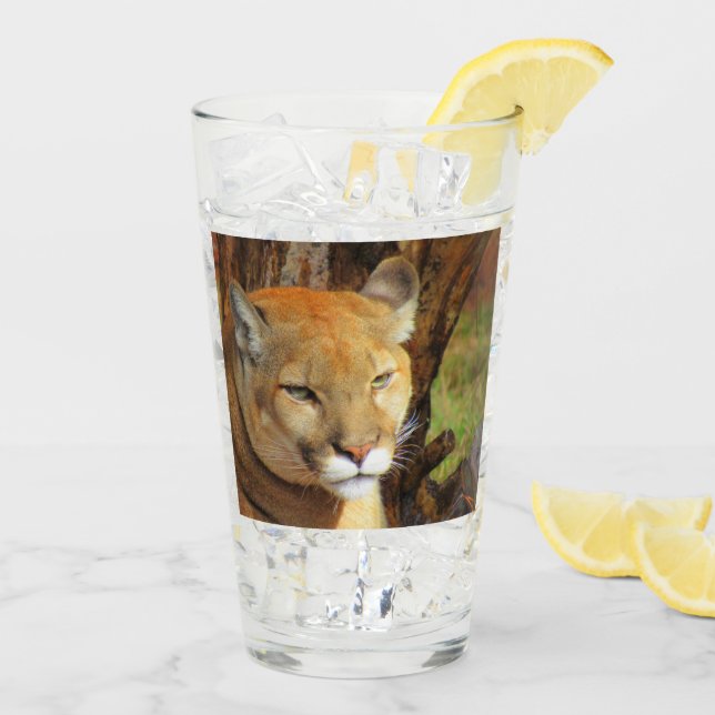 Cougar / Puma / FL Panther  Tumbler / Shaker Glass (Back Ice)