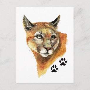 Cougar, Puma, Mountain Lion Animal Tracks Postcard