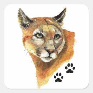 Cougar, Puma, Mountain Lion Animal Tracks Square Sticker