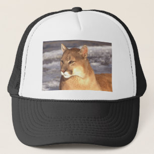 Cougar Rest Trucker Hat